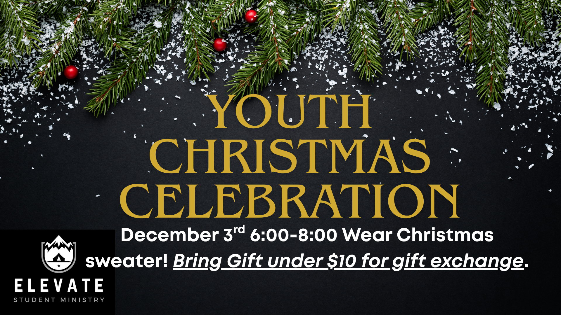 Youth Christmas Partypng